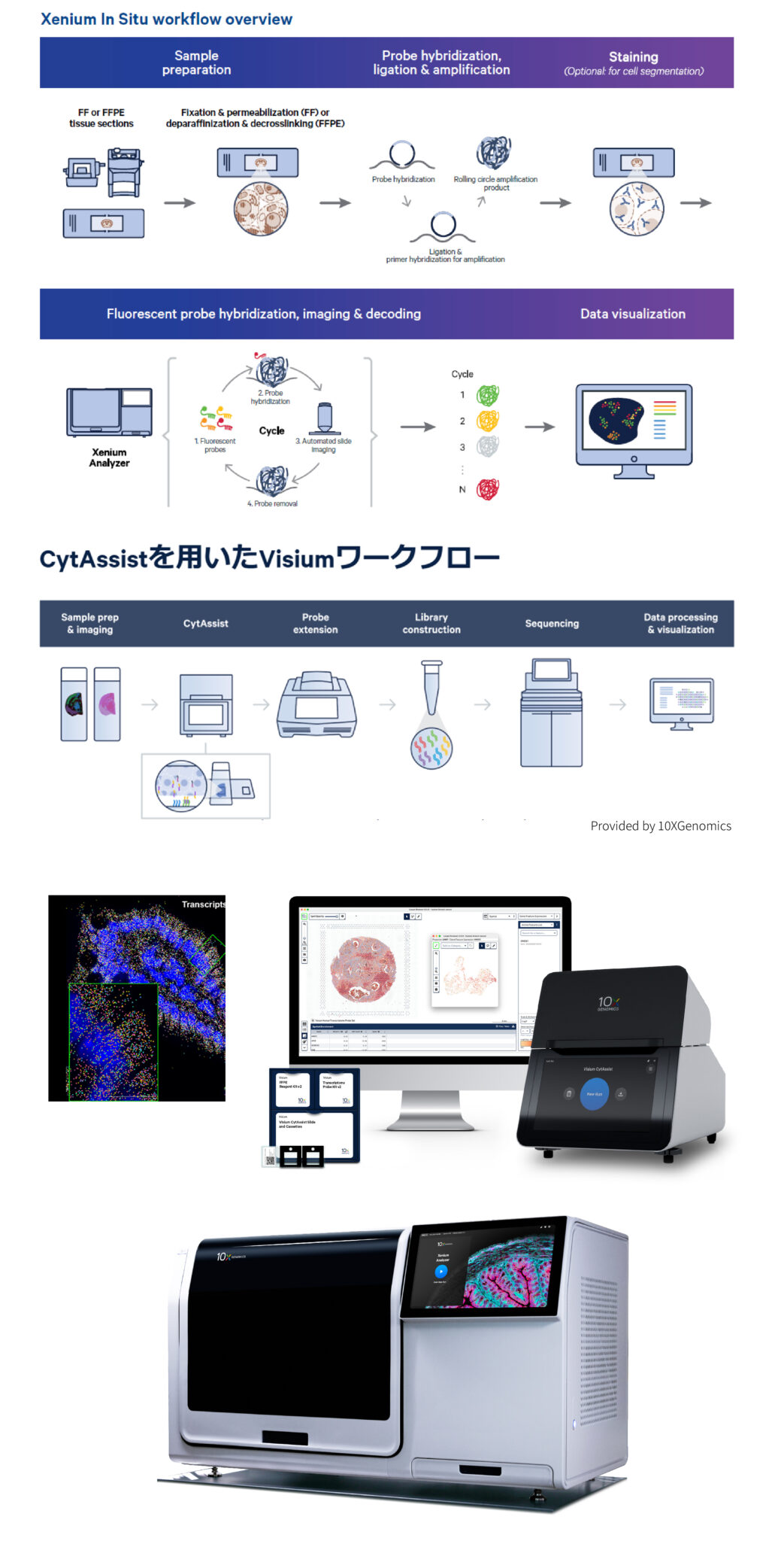 Spatial Transcriptomics - GxD Inc.